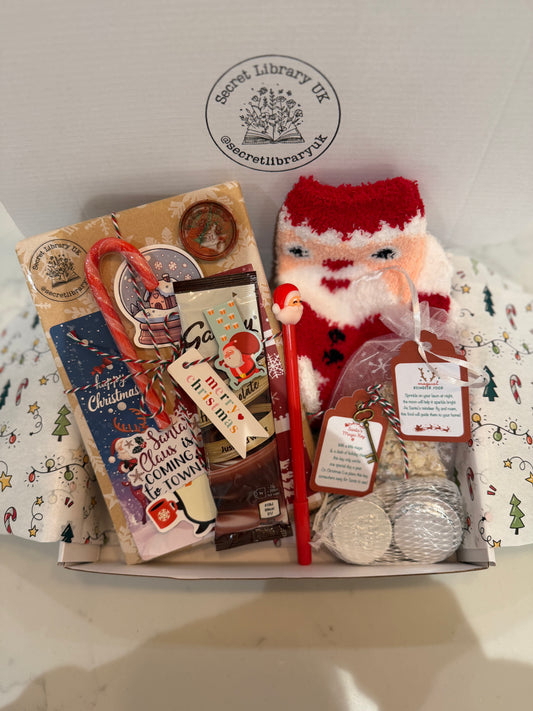 Christmas Eve Bookish Box - Kids & Adults Books