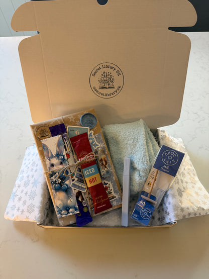 Winter Bookish Box